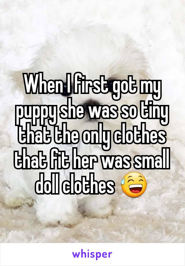 When I first got my puppy she was so tiny that the only clothes that fit her was small doll clothes 😅