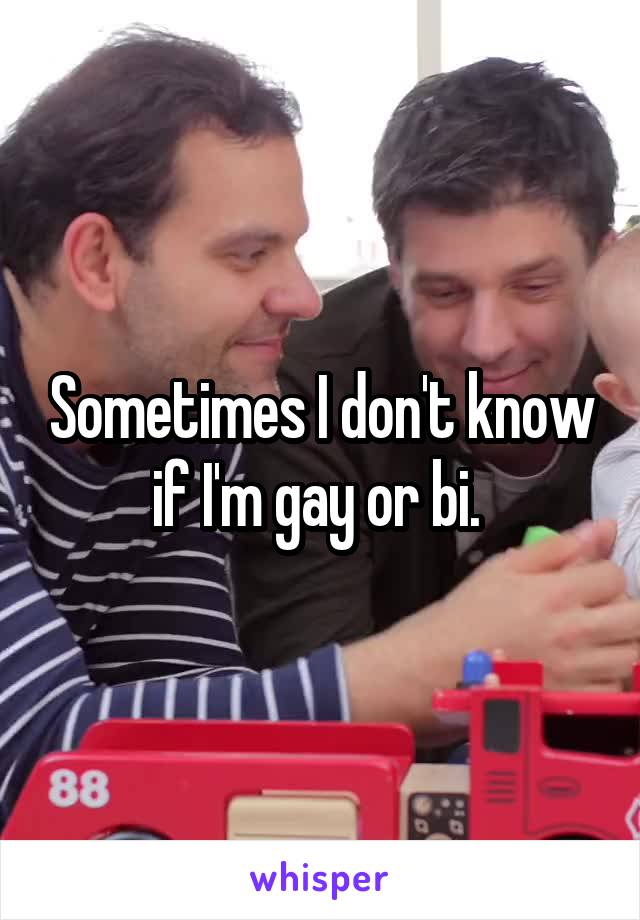 Sometimes I don't know if I'm gay or bi. 