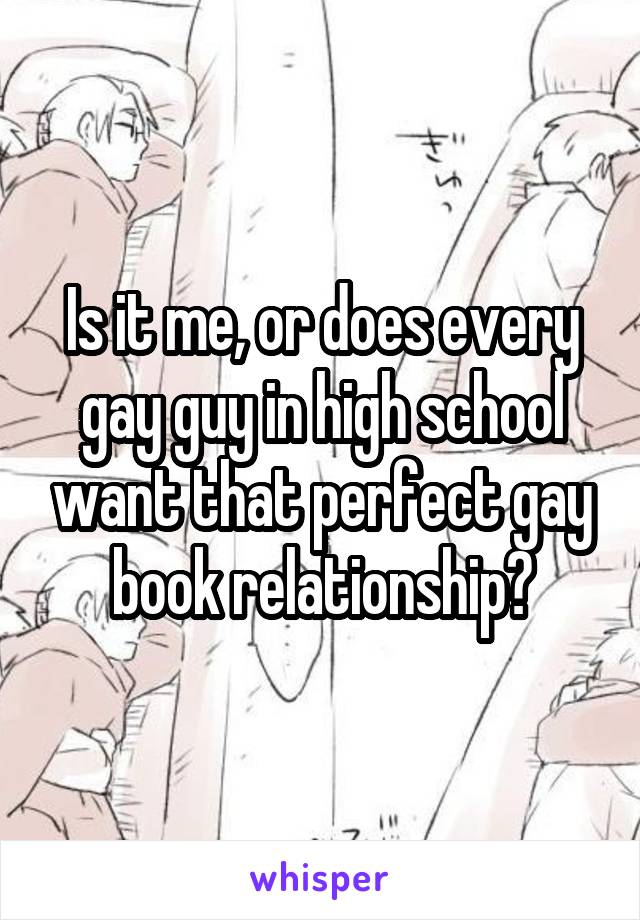 Is it me, or does every gay guy in high school want that perfect gay book relationship?