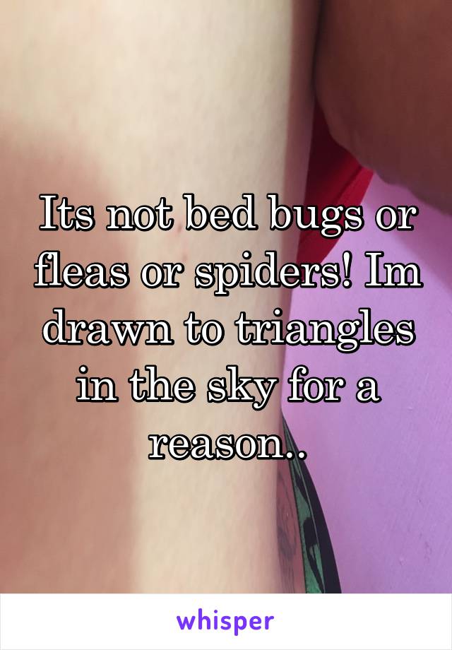 Its not bed bugs or fleas or spiders! Im drawn to triangles in the sky for a reason..