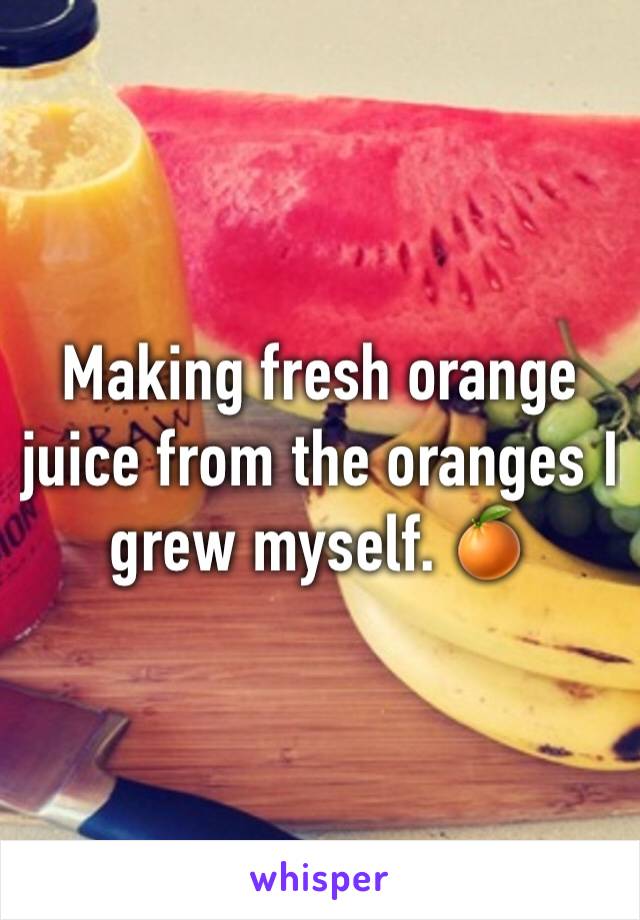 Making fresh orange juice from the oranges I grew myself. 🍊