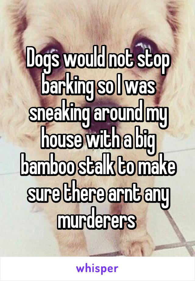 Dogs would not stop barking so I was sneaking around my house with a big bamboo stalk to make sure there arnt any murderers 