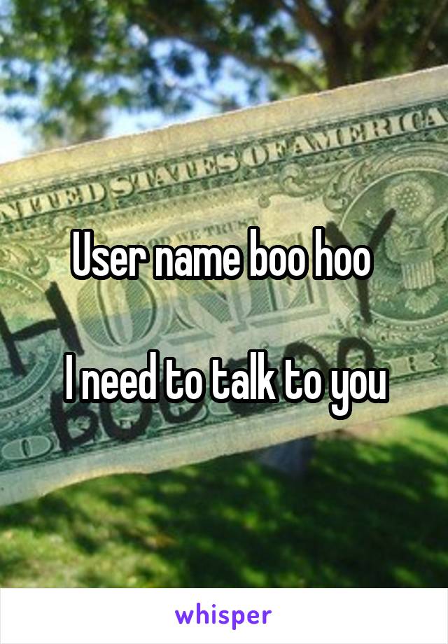User name boo hoo 

I need to talk to you