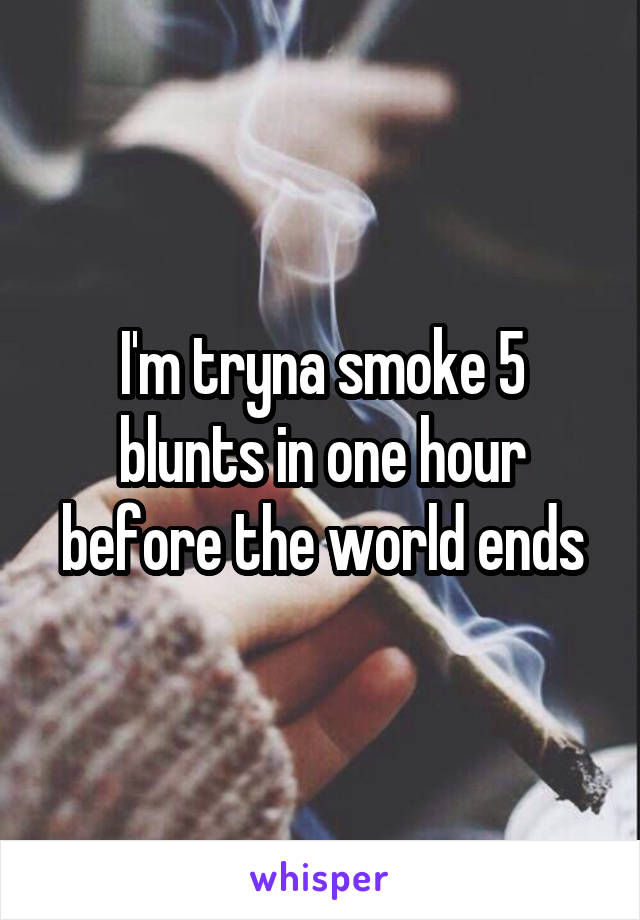 I'm tryna smoke 5 blunts in one hour before the world ends