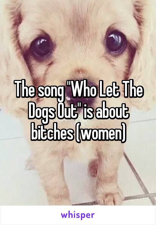 The song "Who Let The Dogs Out" is about bitches (women)