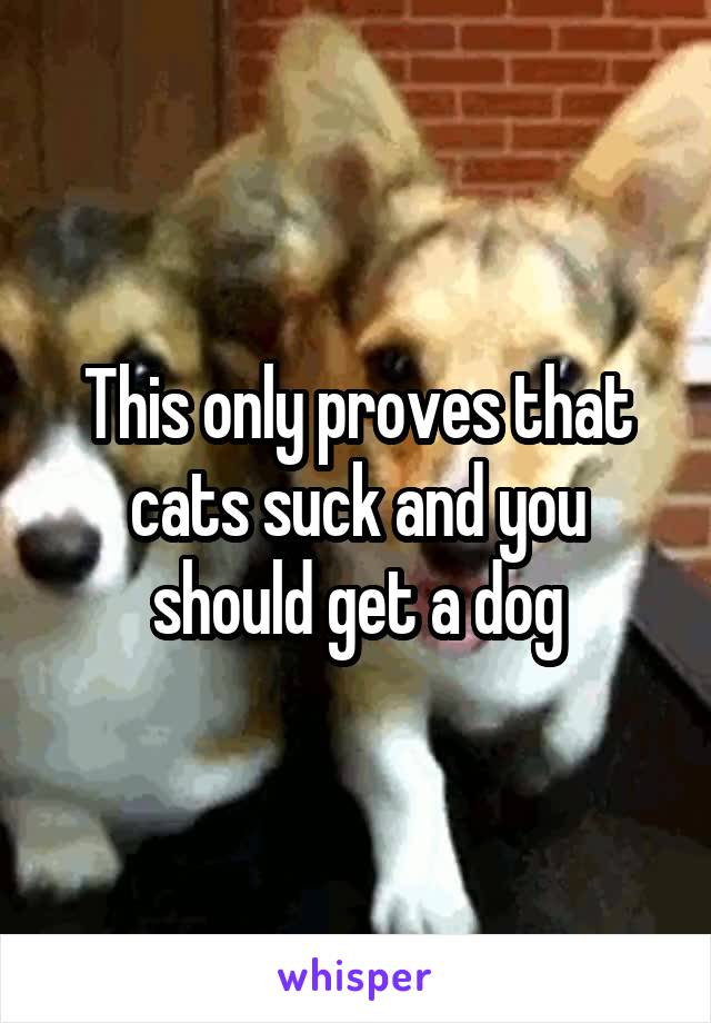 This only proves that cats suck and you should get a dog