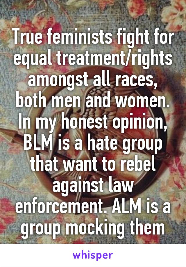 True feminists fight for equal treatment/rights amongst all races, both men and women. In my honest opinion, BLM is a hate group that want to rebel against law enforcement. ALM is a group mocking them