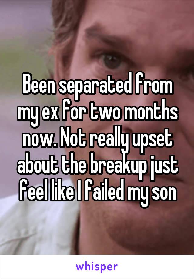 Been separated from my ex for two months now. Not really upset about the breakup just feel like I failed my son
