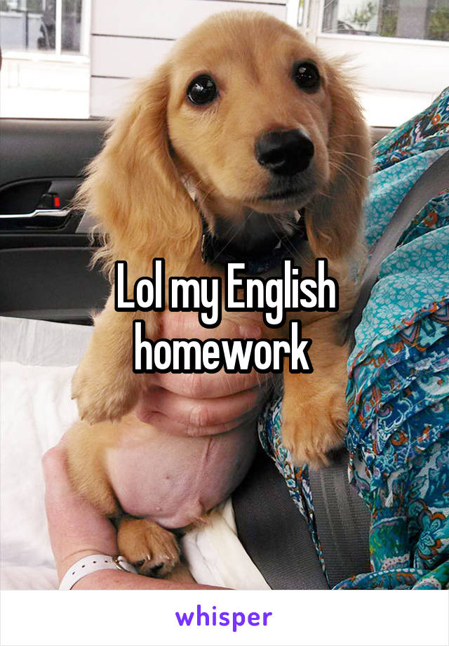Lol my English homework 