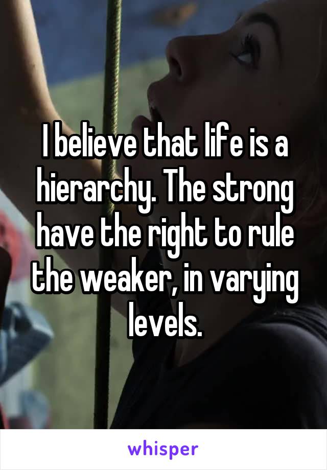 I believe that life is a hierarchy. The strong have the right to rule the weaker, in varying levels.