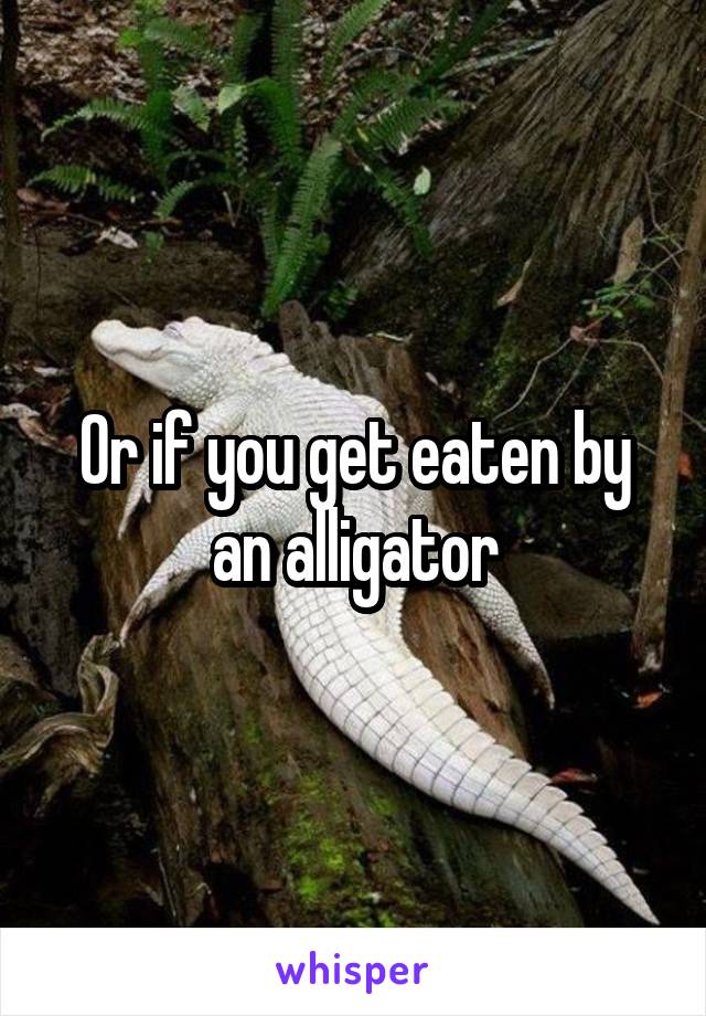 Or if you get eaten by an alligator
