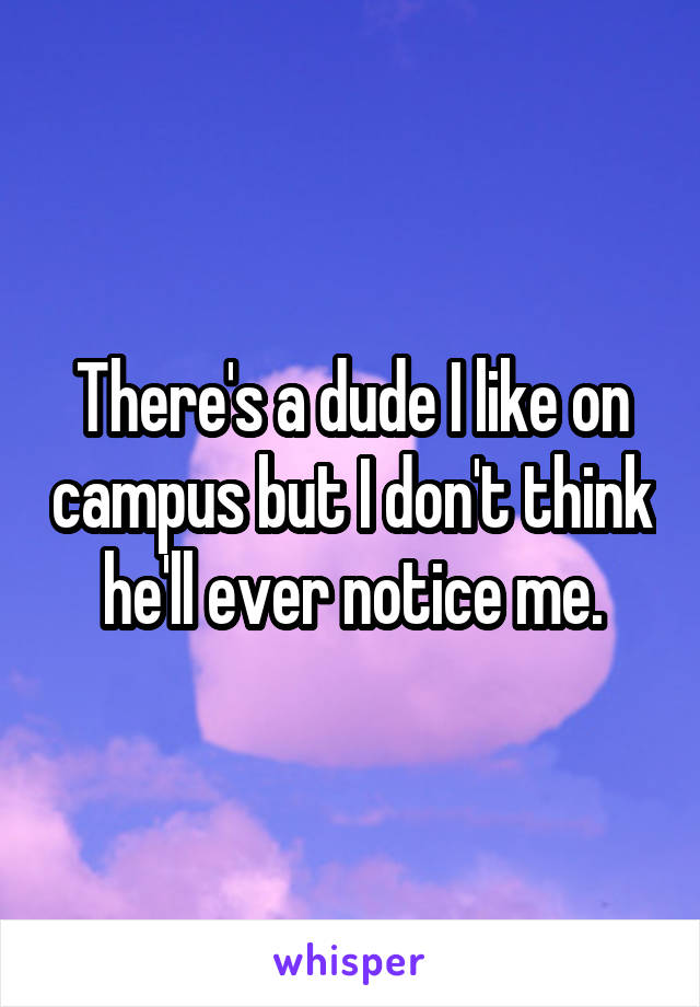 There's a dude I like on campus but I don't think he'll ever notice me.
