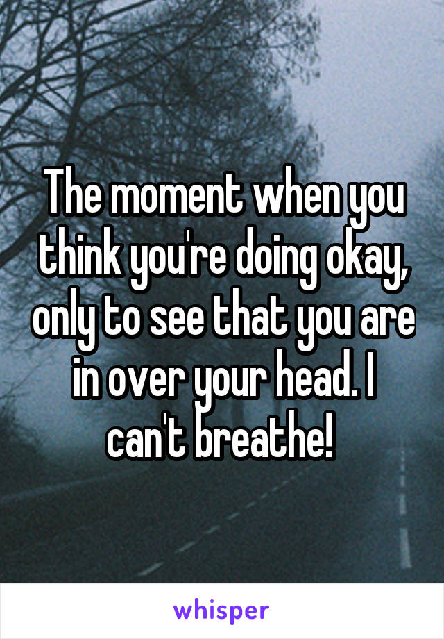 The moment when you think you're doing okay, only to see that you are in over your head. I can't breathe! 