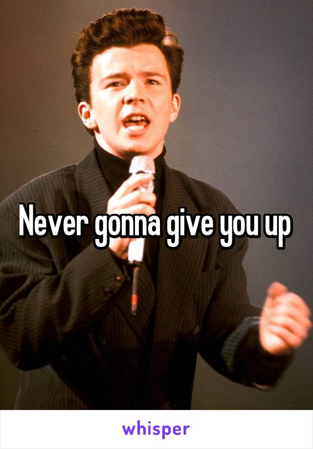 Never gonna give you up 
