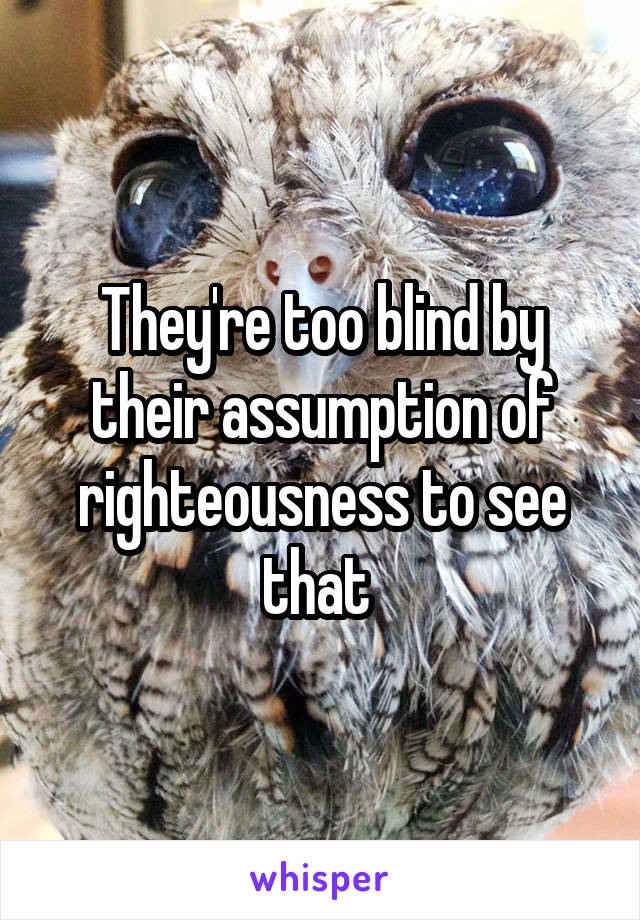 They're too blind by their assumption of righteousness to see that 