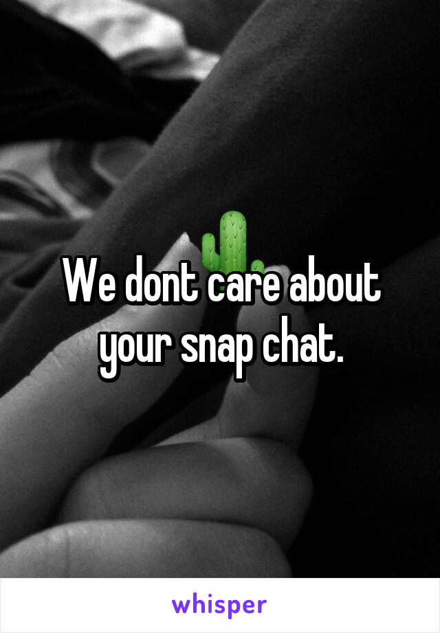 We dont care about your snap chat.