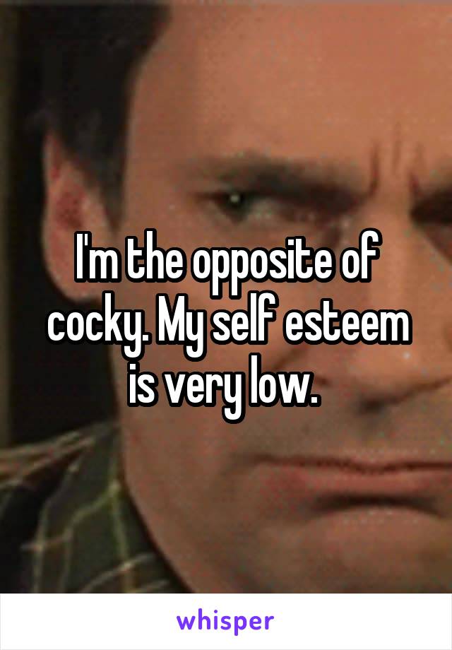 I'm the opposite of cocky. My self esteem is very low. 