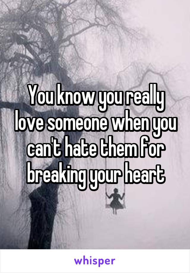 You know you really love someone when you can't hate them for breaking your heart