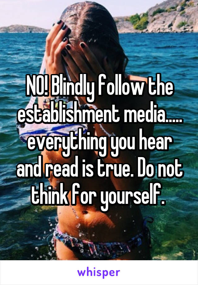 NO! Blindly follow the establishment media..... everything you hear and read is true. Do not think for yourself. 