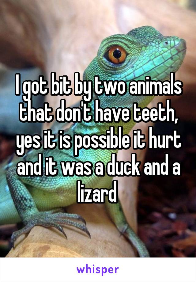 I got bit by two animals that don't have teeth, yes it is possible it hurt and it was a duck and a lizard 