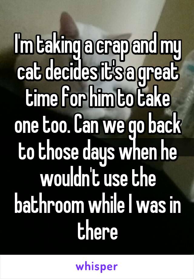 I'm taking a crap and my cat decides it's a great time for him to take one too. Can we go back to those days when he wouldn't use the bathroom while I was in there