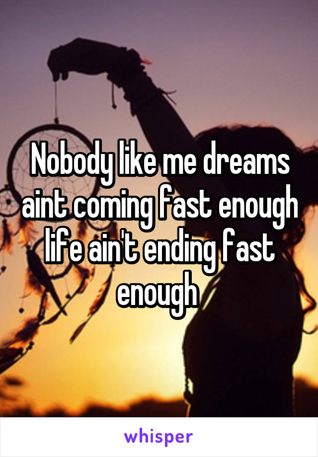 Nobody like me dreams aint coming fast enough life ain't ending fast enough 
