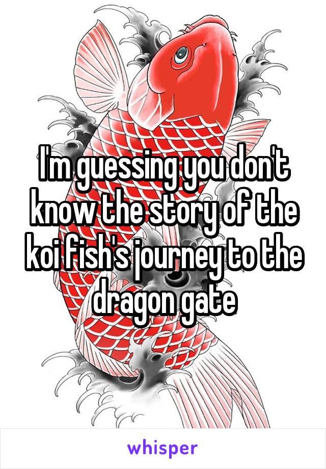 I'm guessing you don't know the story of the koi fish's journey to the dragon gate
