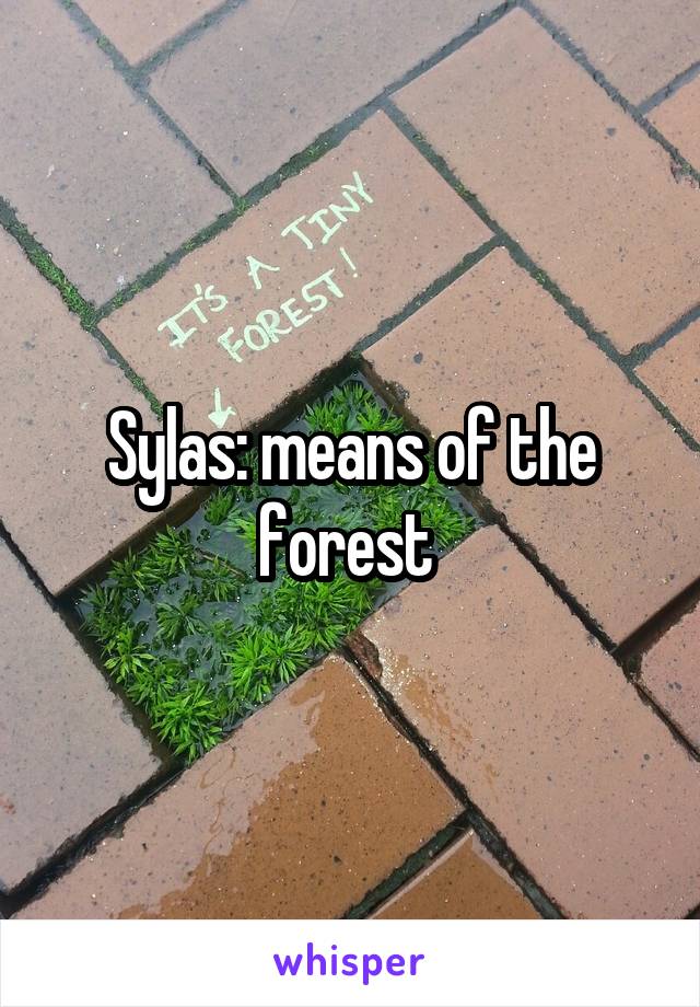 Sylas: means of the forest 