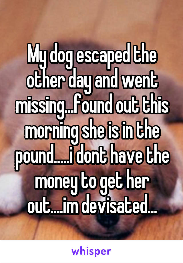 My dog escaped the other day and went missing...found out this morning she is in the pound.....i dont have the money to get her out....im devisated...