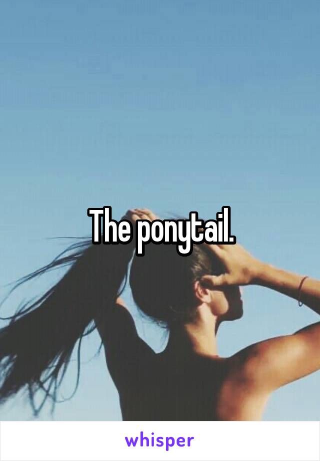 The ponytail.