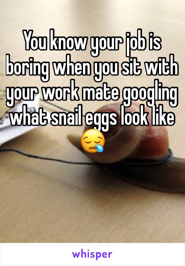 You know your job is boring when you sit with your work mate googling what snail eggs look like 😪