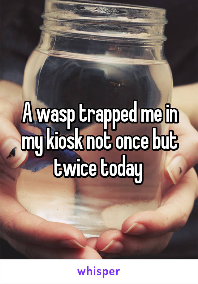 A wasp trapped me in my kiosk not once but twice today 