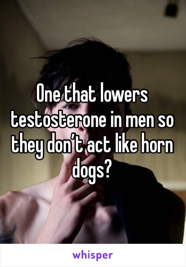 One that lowers testosterone in men so they don’t act like horn dogs?