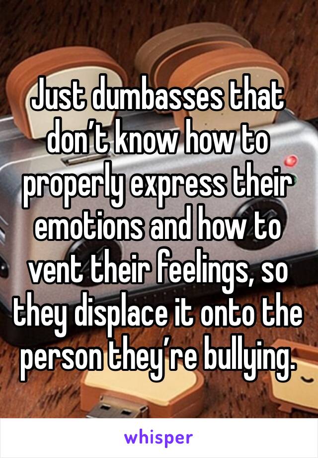 Just dumbasses that don’t know how to properly express their emotions and how to vent their feelings, so they displace it onto the person they’re bullying. 