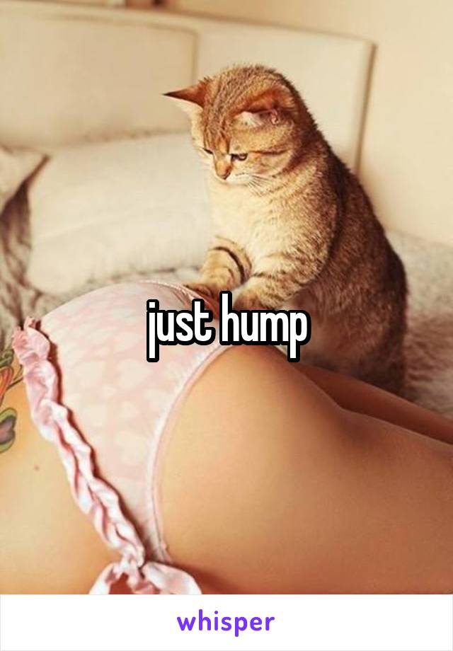  just hump 