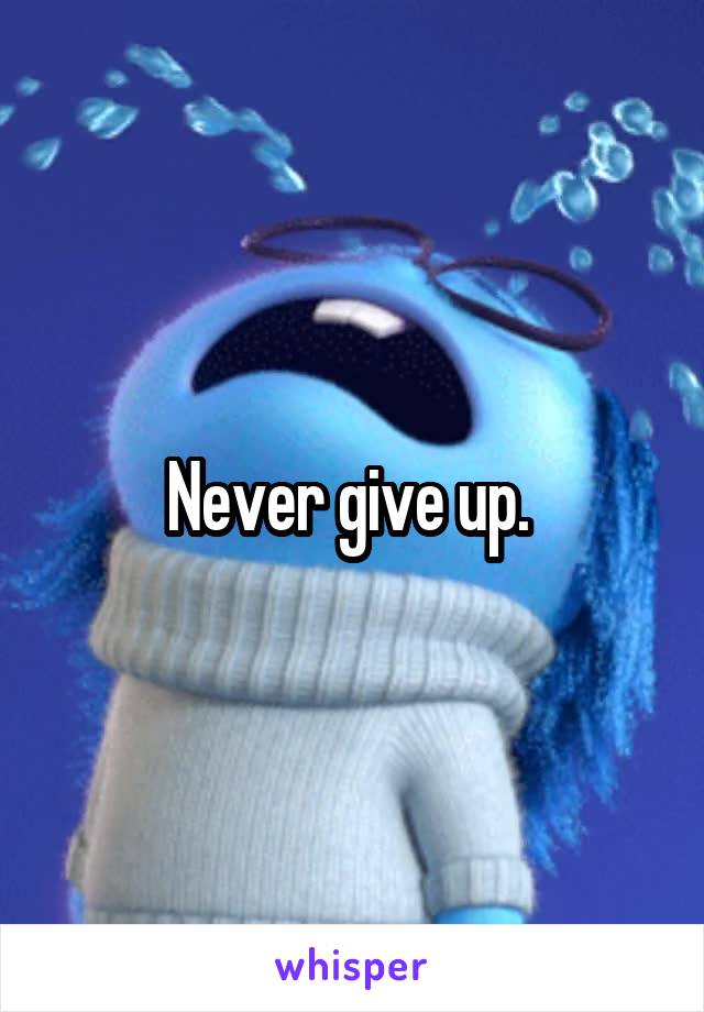 Never give up. 