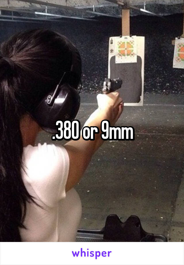 .380 or 9mm