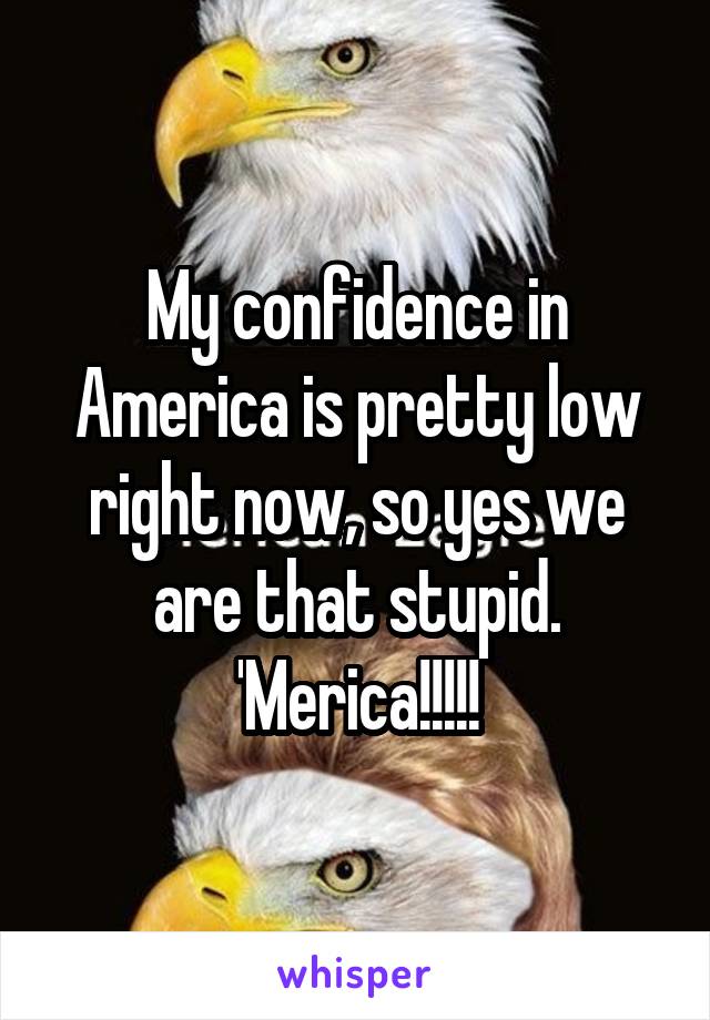 My confidence in America is pretty low right now, so yes we are that stupid.
'Merica!!!!!