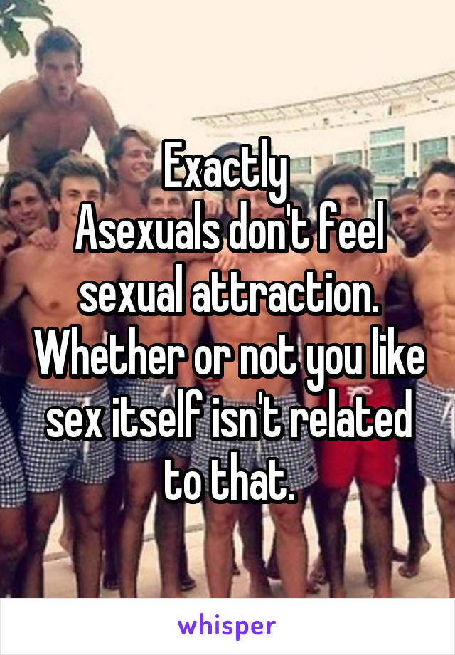 Exactly 
Asexuals don't feel sexual attraction. Whether or not you like sex itself isn't related to that.