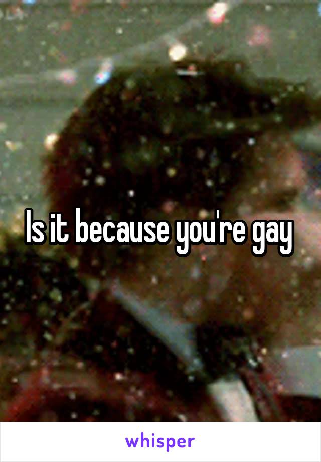Is it because you're gay 