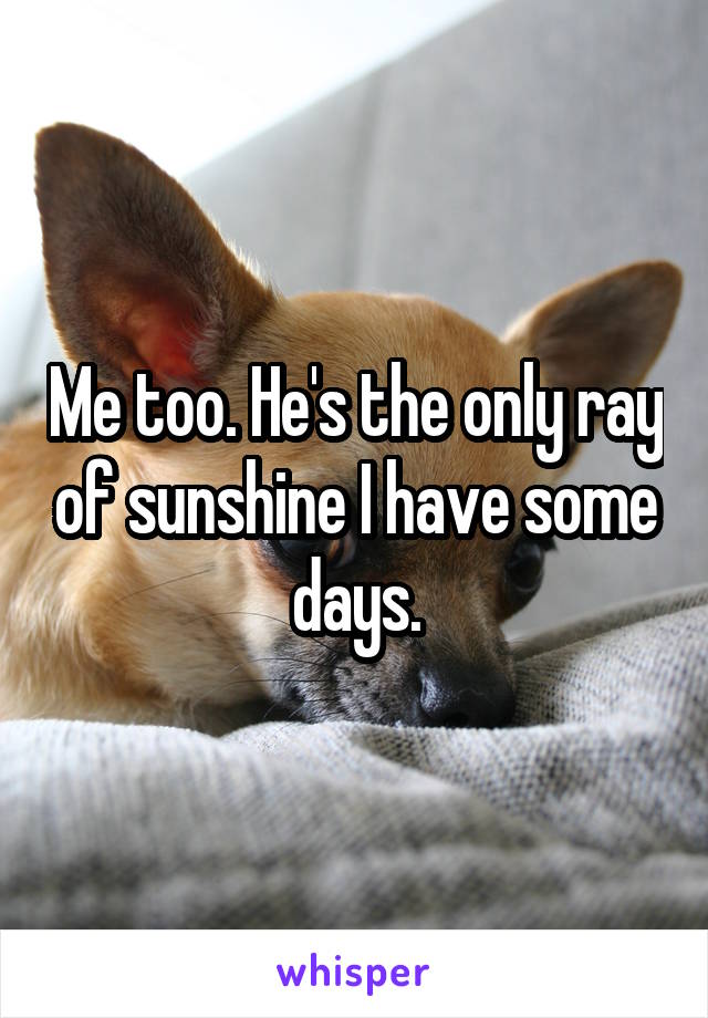 Me too. He's the only ray of sunshine I have some days.