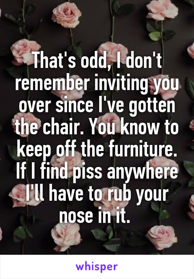 That's odd, I don't remember inviting you over since I've gotten the chair. You know to keep off the furniture. If I find piss anywhere I'll have to rub your nose in it. 