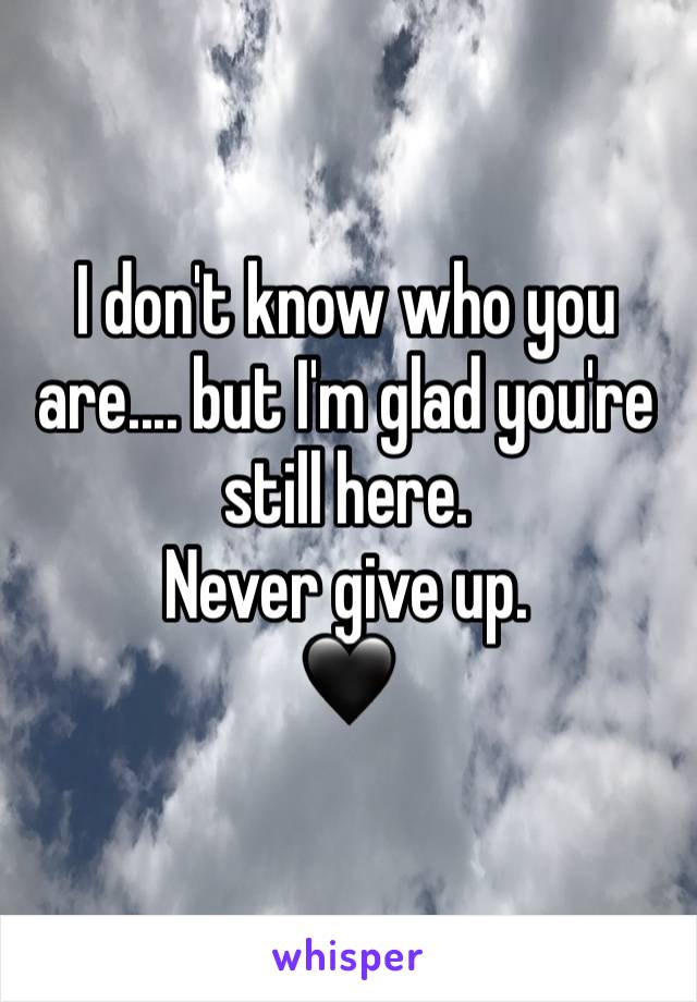 I don't know who you are.... but I'm glad you're still here. 
Never give up. 
🖤