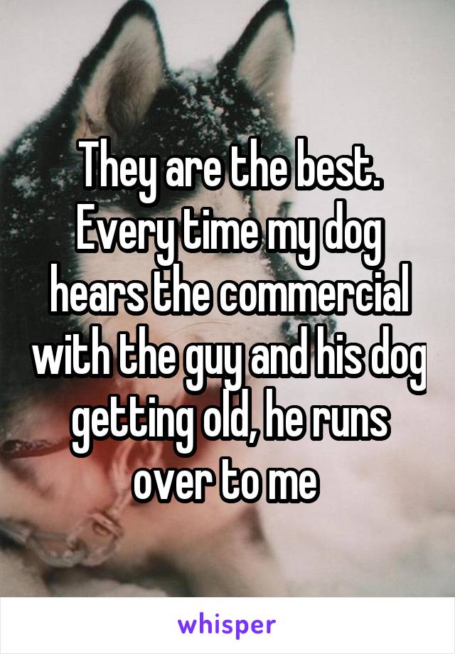 They are the best. Every time my dog hears the commercial with the guy and his dog getting old, he runs over to me 