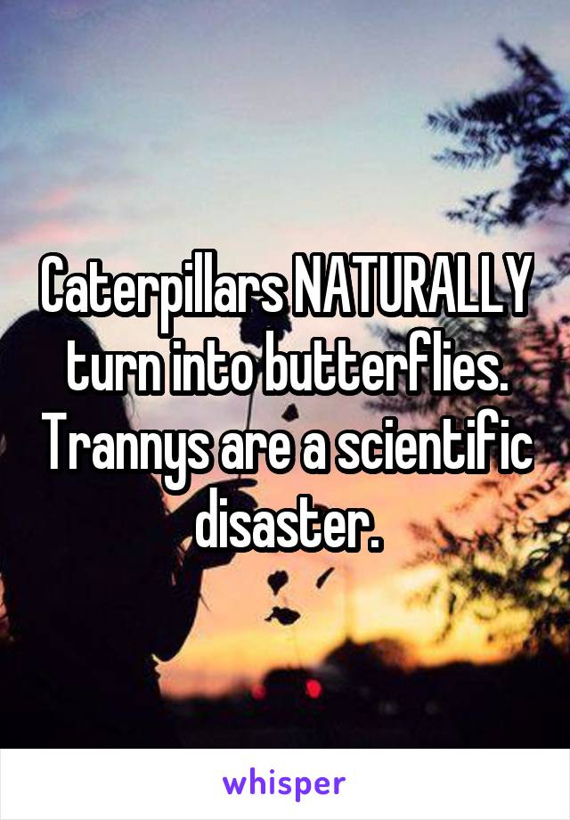 Caterpillars NATURALLY turn into butterflies. Trannys are a scientific disaster.