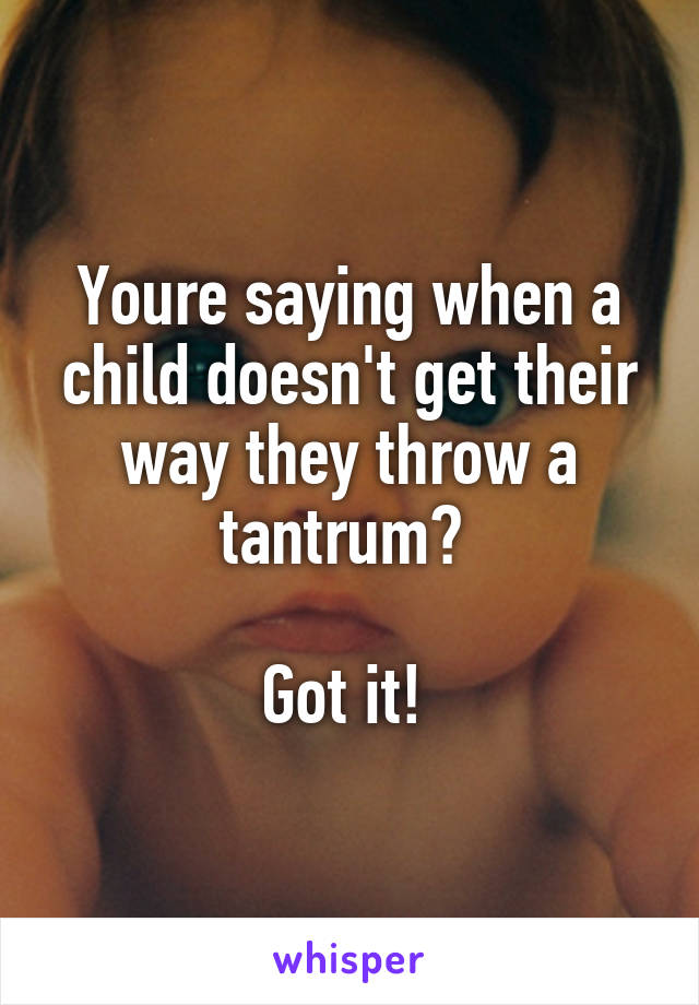 Youre saying when a child doesn't get their way they throw a tantrum? 

Got it! 