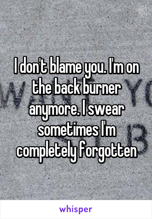 I don't blame you. I'm on the back burner anymore. I swear sometimes I'm completely forgotten