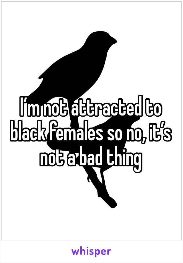 I’m not attracted to black females so no, it’s not a bad thing