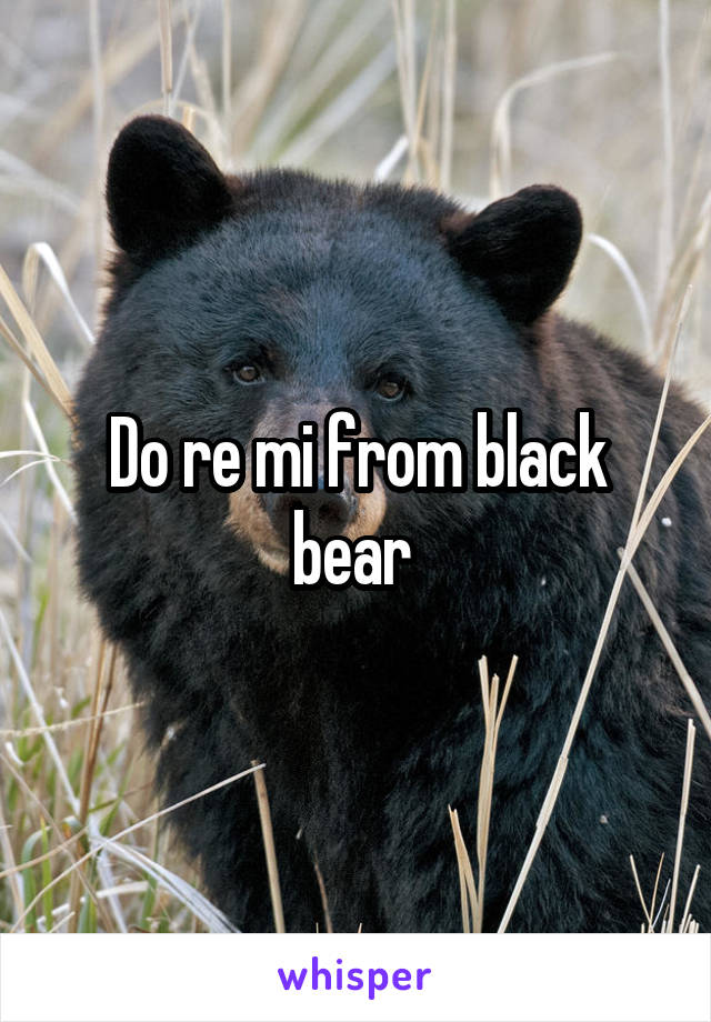 Do re mi from black bear 