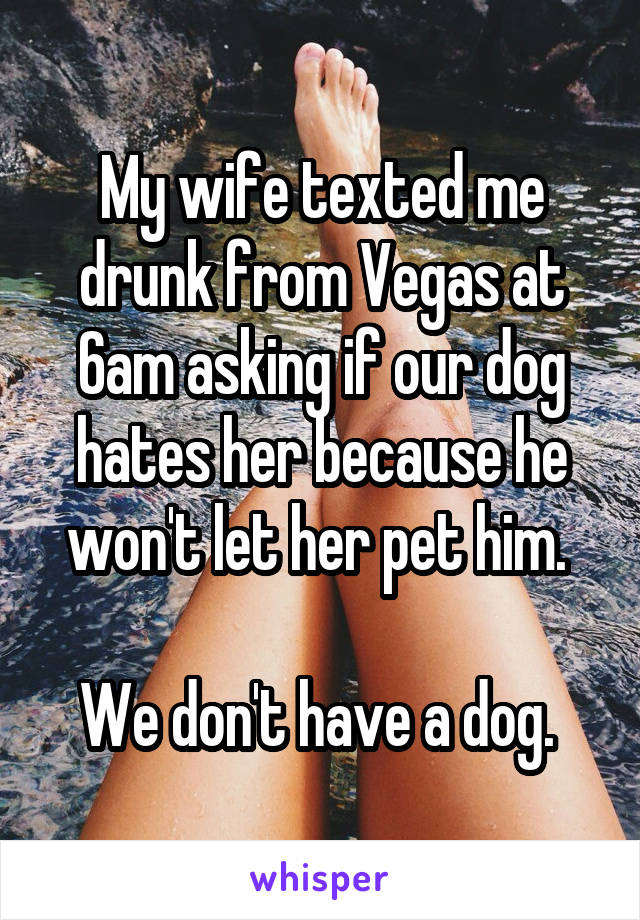 My wife texted me drunk from Vegas at 6am asking if our dog hates her because he won't let her pet him. 

We don't have a dog. 